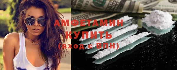 стаф Алзамай