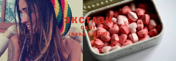 стаф Алзамай