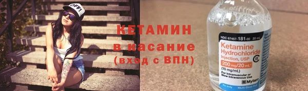 стаф Алзамай