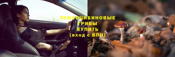 стаф Алзамай
