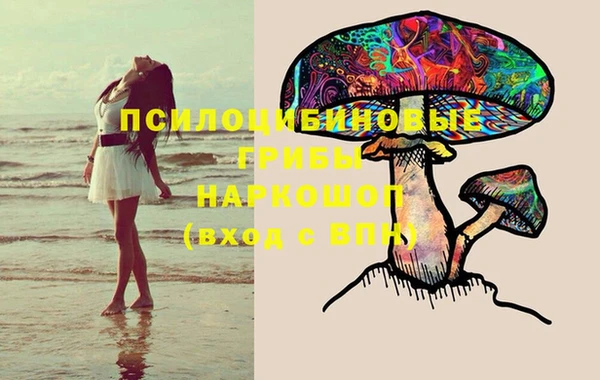 МДПВ Алексеевка