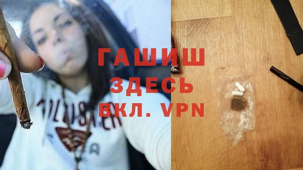 стаф Алзамай