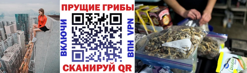 где купить наркоту  Малаховка  Псилоцибиновые грибы мухоморы 